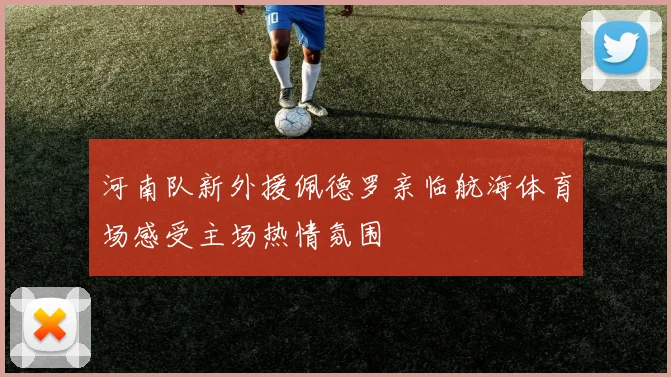 河南队新外援佩德罗亲临航海体育场感受主场热情氛围