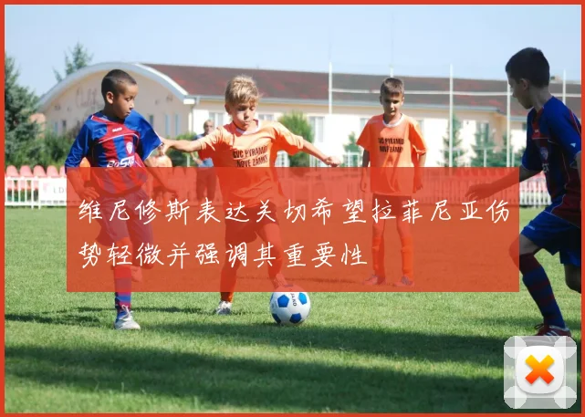 维尼修斯表达关切希望拉菲尼亚伤势轻微并强调其重要性