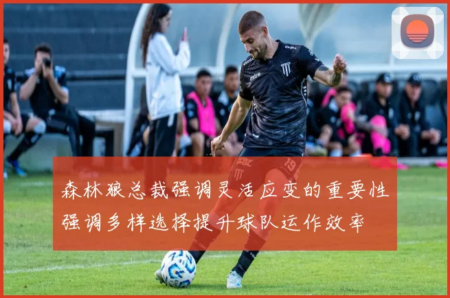 森林狼总裁强调灵活应变的重要性强调多样选择提升球队运作效率